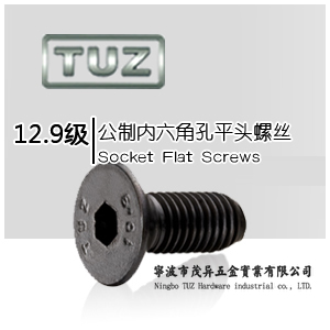 平头内六角|12.9级|公制内六角孔平头螺丝|TUZ螺丝