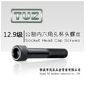 内六角|12.9级|公制内六角孔杯头螺丝|TUZ螺丝