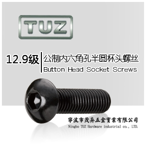 半圆头内六角|12.9级|公制内六角孔半圆头螺丝|TUZ螺丝