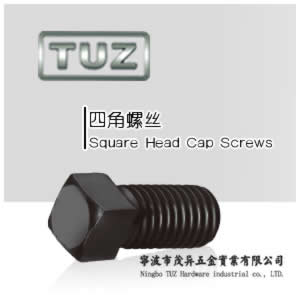 四角螺丝|低碳钢|TUZ螺丝