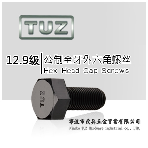 外六角螺丝|螺栓|12.9级合金钢|公制外六角孔螺丝|TUZ螺丝