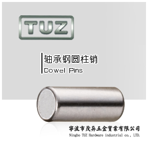 圆柱销|轴承钢|TUZ|茂异五金